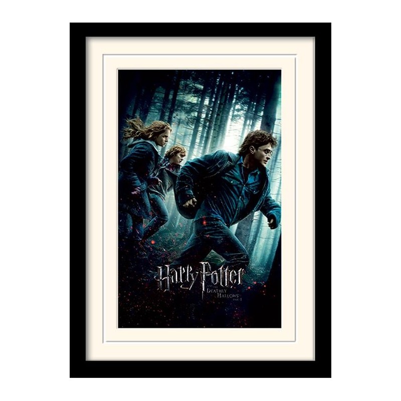 HARRY POTTER - Mounted & Framed 30X40 Print - Deathly Hallows Part 1