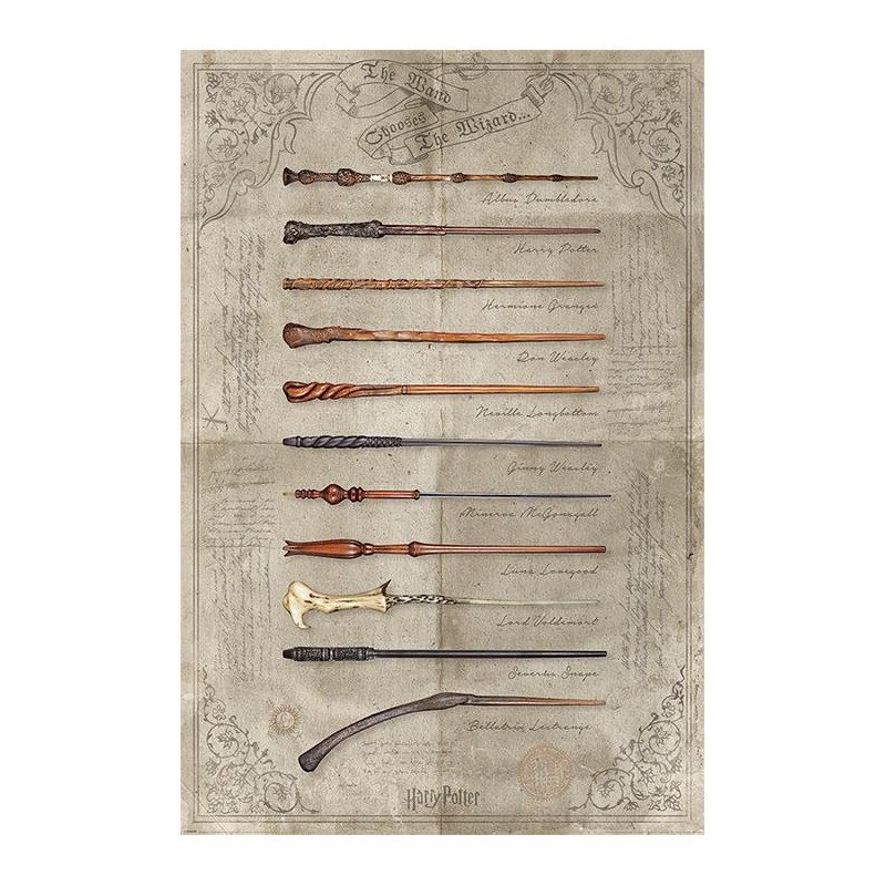 HARRY POTTER - Poster 61x91 - The Wand chooses the Wizard