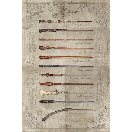 HARRY POTTER - Poster 61x91 - The Wand chooses the Wizard