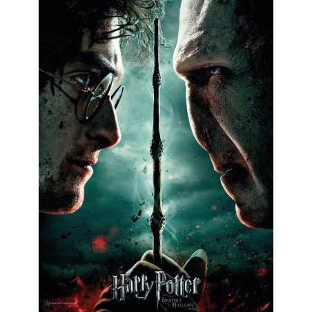 HARRY POTTER - Impression en Verre - Harry / Voldemort - 30X40 Cm