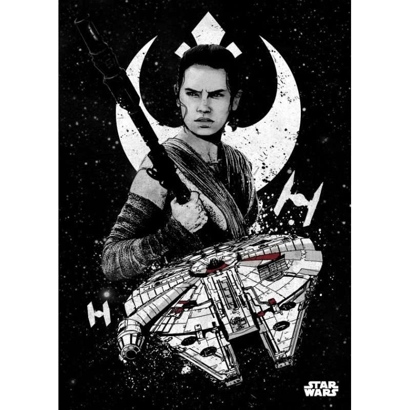 STAR WARS PILOTS - Magnetic Metal Poster 45x32 - Rei