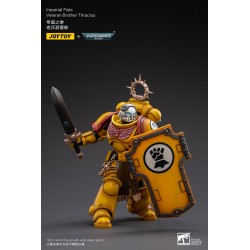Imperial Fists Veteran Brother Thracius 2