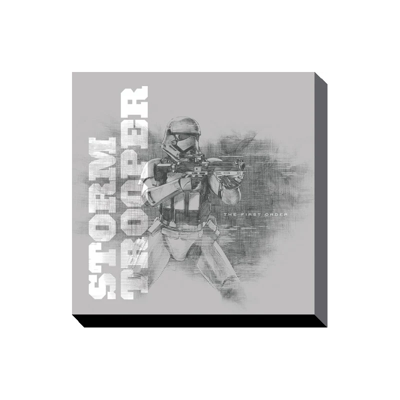 STAR WARS - Canvas 40X40 '38mm' - Episode VII - Snowtrooper Grey