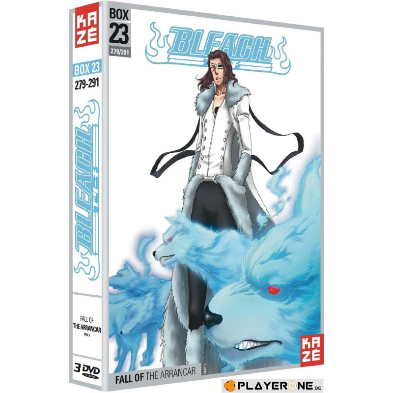 DVD - BLEACH - Box 23 - Saison 5 (Coffret 3 DVD)