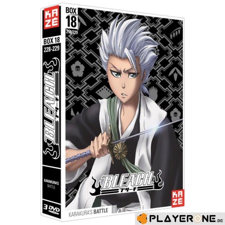 DVD - BLEACH - Box 18 - Saison 4 (Coffret 3 DVD)