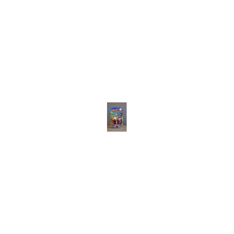 Diddy Kong Racing - Wiz Pig