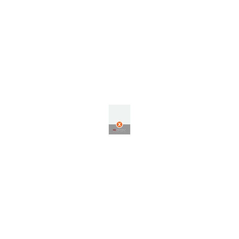 Donkey Kong - Banana Flingin Diddy Kong