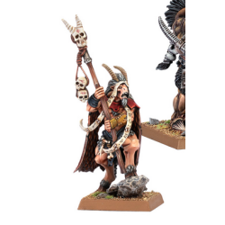 BEASTMEN BRAYHERDS: BEASTMAN SHAMAN