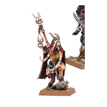 BEASTMEN BRAYHERDS: BEASTMAN SHAMAN