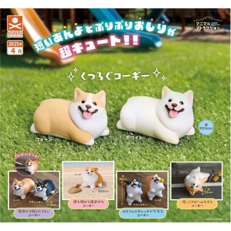 GASHAPON - Corgi (Lot de 40 Capsule 58mm)