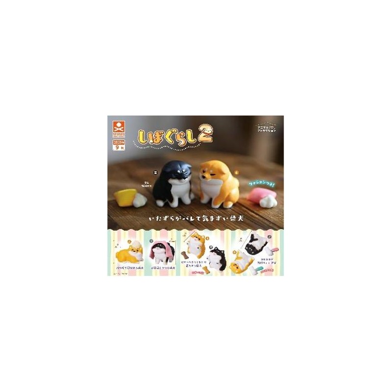 GASHAPON - Shiba Gurashi 2 (Lot de 30 Capsule 58mm)
