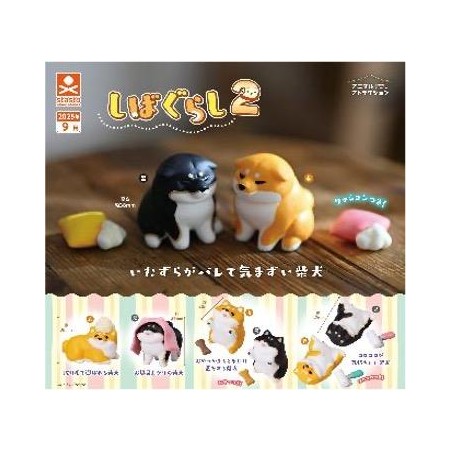 GASHAPON - Shiba Gurashi 2 (Lot de 30 Capsule 58mm)