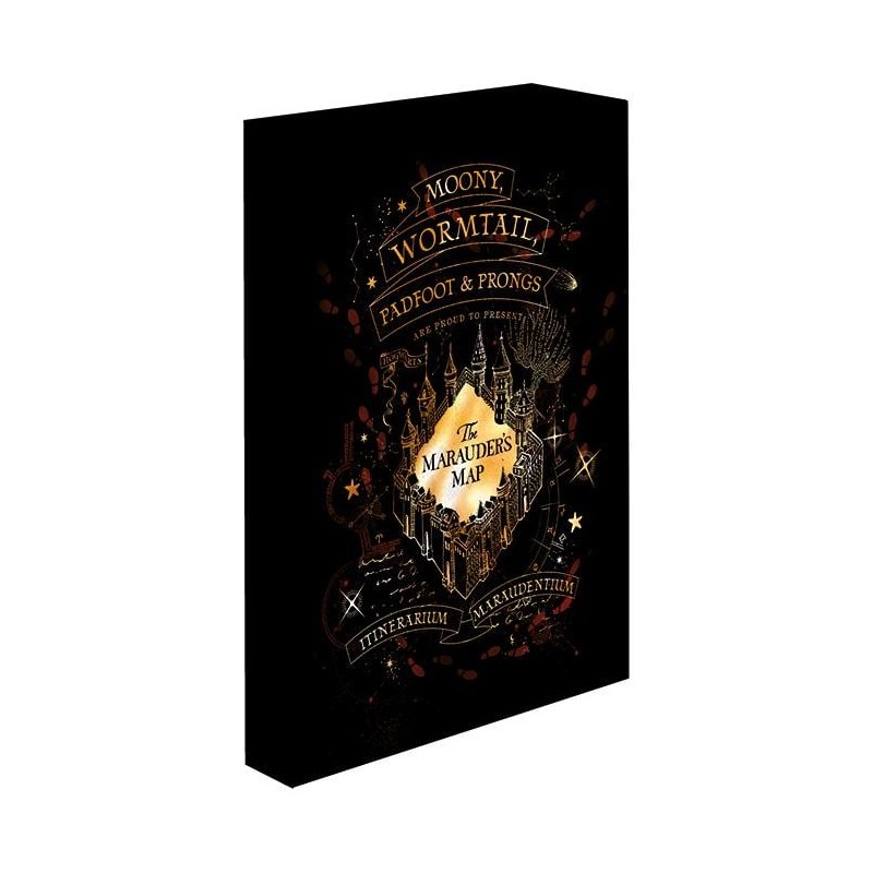 HARRY POTTER - Carte du Maraudeur - Canvas Lumineux 40X30 Cm