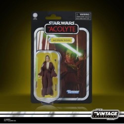 ACOLYTE - Master Indara  - Figurine Series Vintage