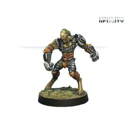 Infinity - Tohaa Support Pack 2