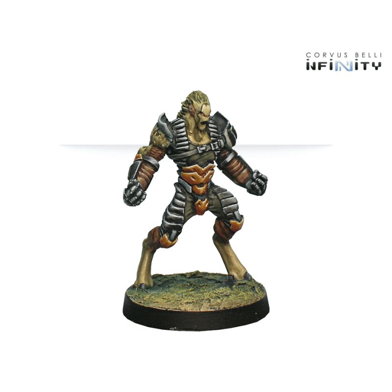 Infinity - Tohaa Support Pack