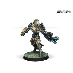 Infinity - Rasail Boarding Team 2