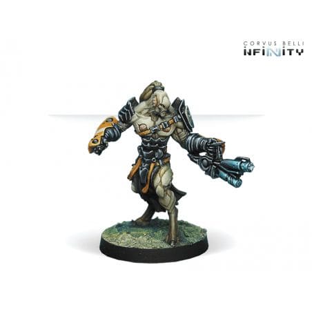 Infinity - Rasail Boarding Team