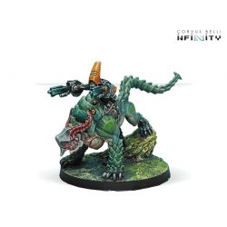 Infinity - Kerail Preceptors 2