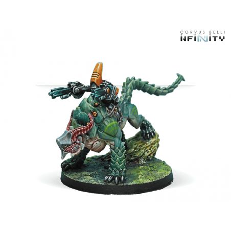 Infinity - Kerail Preceptors