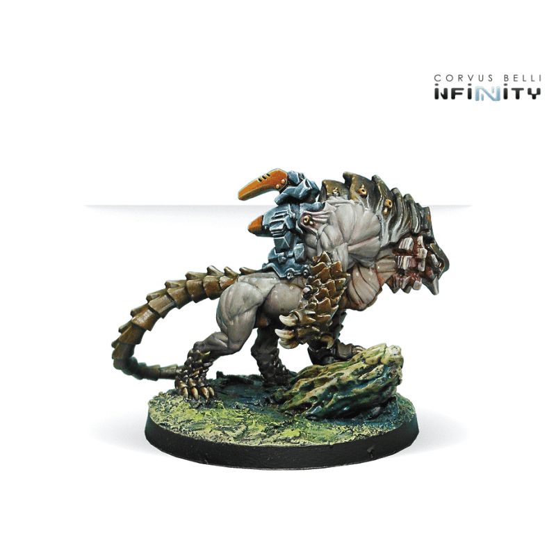Infinity - Kerail Preceptors