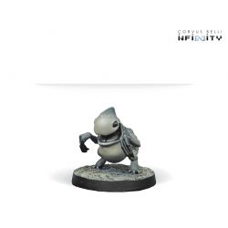 Infinity - Kaeltar Specialists 2