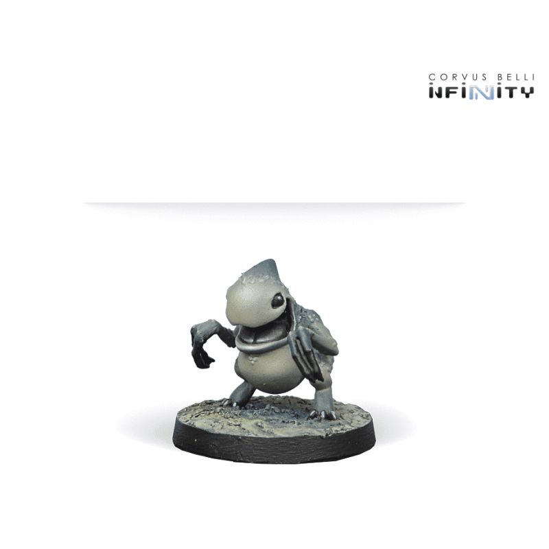 Infinity - Kaeltar Specialists