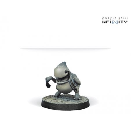 Infinity - Kaeltar Specialists