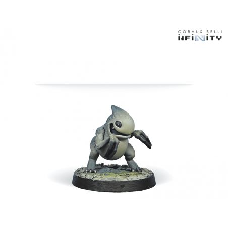 Infinity - Kaeltar Specialists