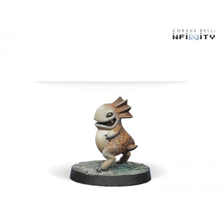 Infinity - Kaeltar Specialists