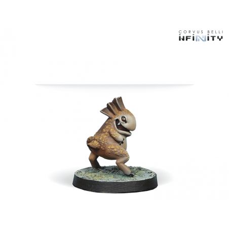 Infinity - Kaeltar Specialists