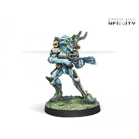 Infinity - Kaauri Sentinels