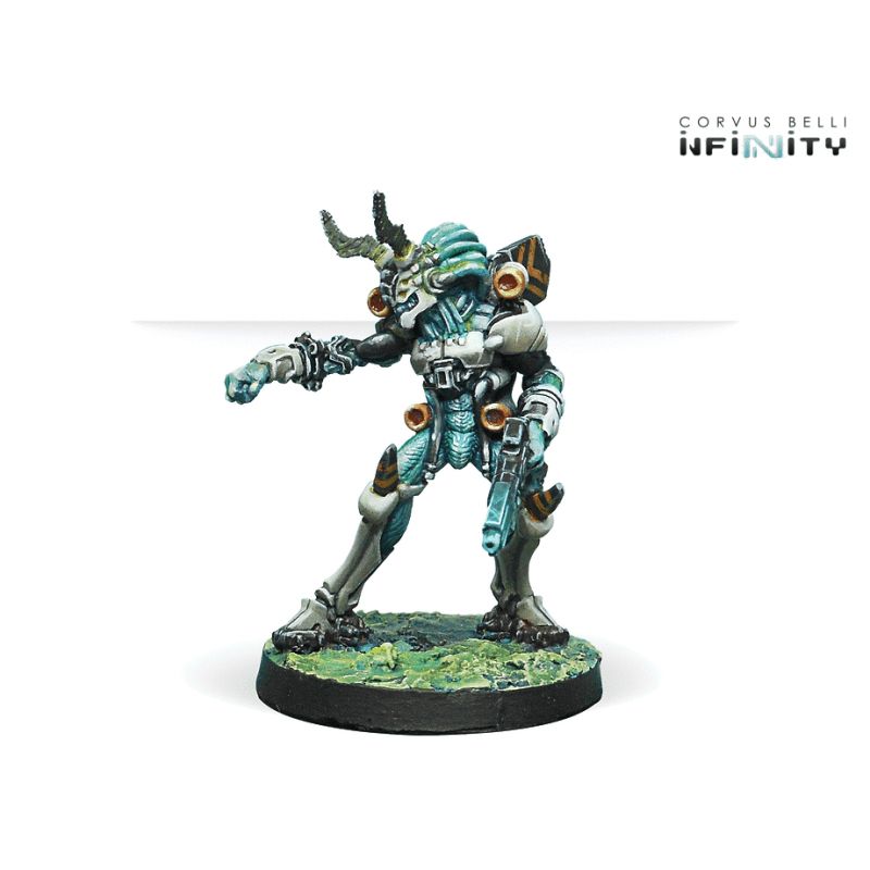Infinity - Kaauri Sentinels
