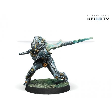 Infinity - Igao Unit (DA CCW)