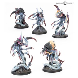 KILL TEAM: TYPHON (ENGLISH) 2