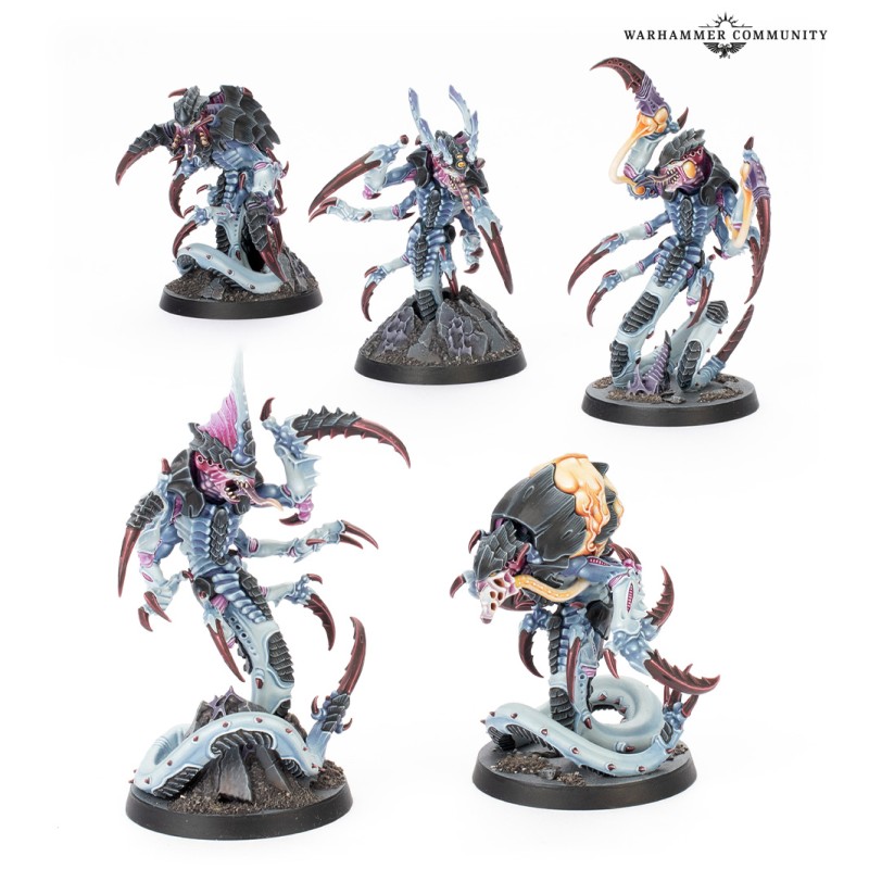 KILL TEAM: TYPHON (ENGLISH)
