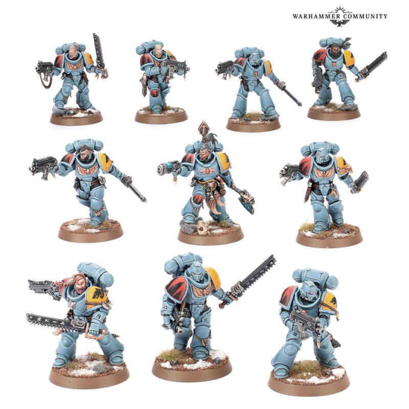 CHASSEURS GRIS