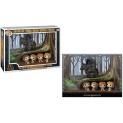 LOTR - POP MOMENTS Deluxe NÂ° 09 - La communautÃ© de l'Anneau