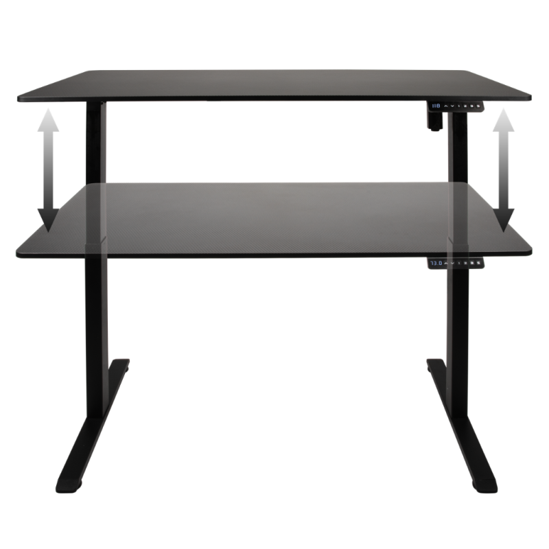 BUREAU GAMING ASSIS / DEBOUT
