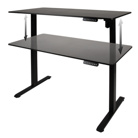 BUREAU GAMING ASSIS / DEBOUT