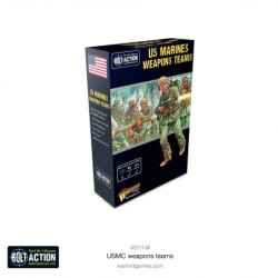 US Marine Corps Weapons Teams 