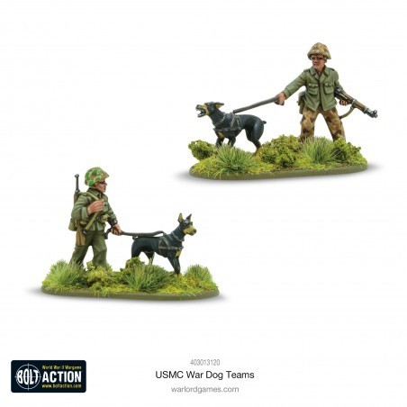 US Marine Corps War Dog Teams 