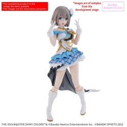30MS - Asahi Serizawa - Model Kit 2