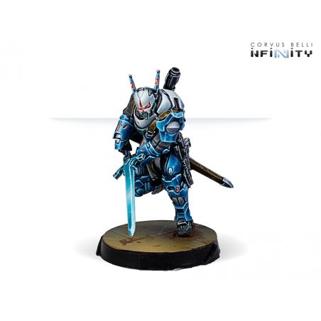Infinity - Teutonic Knights
