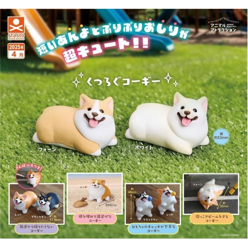 GASHAPON - Corgi (Lot de 40 Capsule 58mm) 