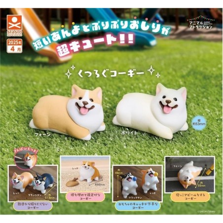GASHAPON - Corgi (Lot de 40 Capsule 58mm) 