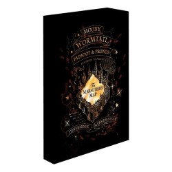 HARRY POTTER - Carte du Maraudeur - Canvas Lumineux 40X30 Cm 2