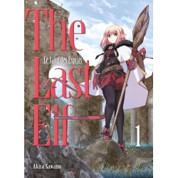 THE LAST ELF - LE SALUT DES ESPRITS  - Tome 1 2