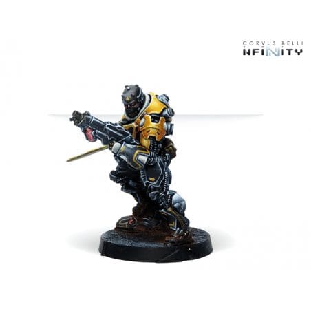 Infinity - Húláng Shocktroopers (Combi Rifle + Light FT)