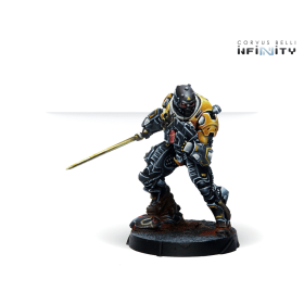 Infinity - Húláng Shocktroopers (Combi Rifle + Light FT)
